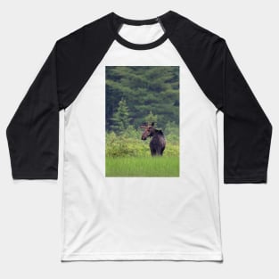 Canadian Moose, Algonquin Park, Canada Baseball T-Shirt